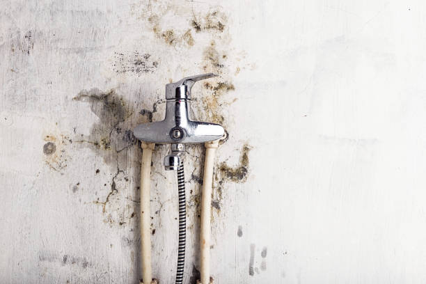 Best Water Damage Restoration  in Byram, CT