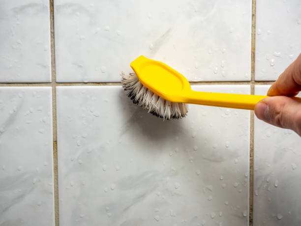 Best Mold Remediation  in Byram, CT
