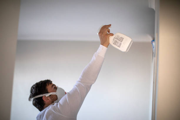 Mold Testing and Removal in Byram, CT