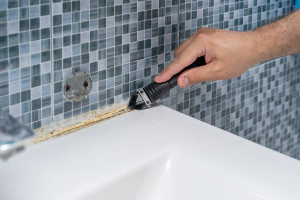 Best Professional Mold Removal  in Byram, CT