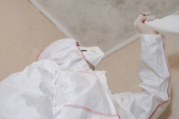 Best Local Mold Removal Service  in Byram, CT